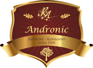 Logo complet Pensiunea Andronic